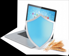 成立全流程风险